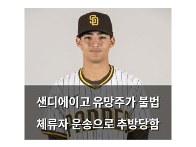 샌디에이고 유망주가 불법 체류자 운송으로 추방당함