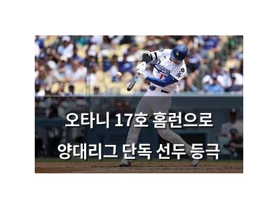 오타니 17호 홈런으로 양대리그 단독 선두 등극