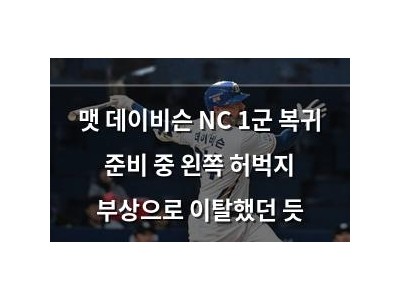 맷 데이비슨 NC 1군 복귀 준비 중 왼쪽 허벅지 부상으로 이탈했던 듯
