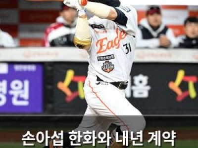 손아섭 한화와 내년 계약 가능성은?