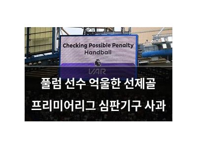 풀럼 선수 억울한 선제골 프리미어리그 심판기구 사과