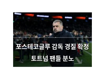 포스테코글루 감독 경질 확정 토트넘 팬들 분노
