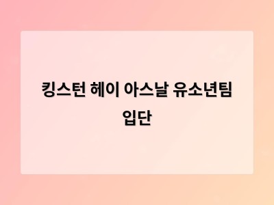 킹스턴 헤이 아스날 유소년팀 입단