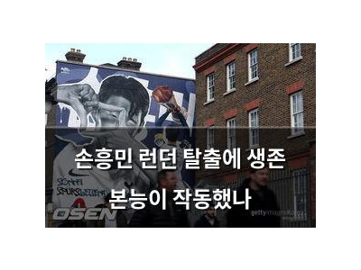 손흥민 런던 탈출에 생존 본능이 작동했나