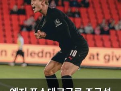 엔지 포스테코글루 조규성 영입 실패 언급