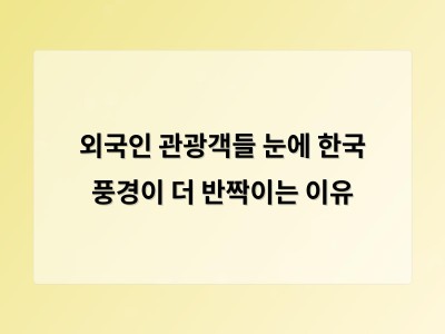 외국인 눈에 비친 한국의 평범한 풍경이 주는 특별함