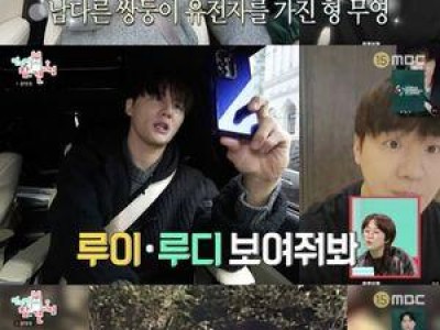 전참시에 출연한 두바이 쫀득 팬들 반응 뜨거웠다