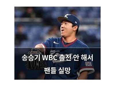 송승기 WBC 출전 안 해서 팬들 실망